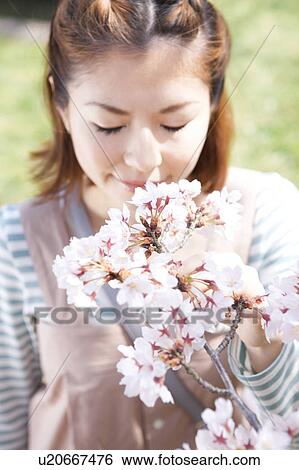 Stock Photograph - Young woman smelling cherry blossoms. Fotosearch
