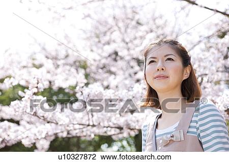 Young woman standing in front of cherry blossom tree View Large Photo Image Stock Image - Young woman standing in front of cherry blossom tree. Fotosearch