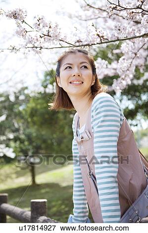Young woman standing in front of cherry blossom tree View Large Photo Image Stock Photo - Young woman standing in front of cherry blossom tree. Fotosearch