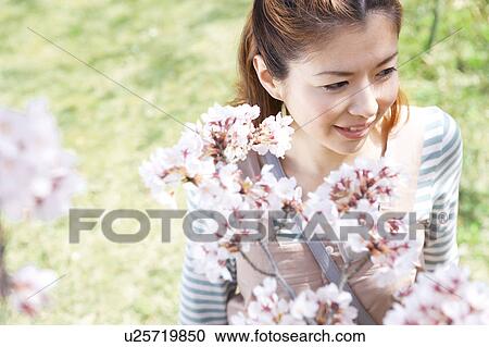 Young woman standing near cherry blossom tree View Large Photo Image Stock Image - Young woman standing near cherry blossom tree. Fotosearch
