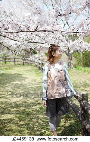 Stock Photo - Young woman standing near cherry blossom tree. Fotosearch