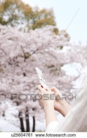 Stock Image - Young woman text messaging. Fotosearch