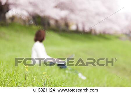 Young woman using laptop in front of cherry blossoms View Large Photo Image Picture - Young woman using laptop in front of cherry blossoms. Fotosearch