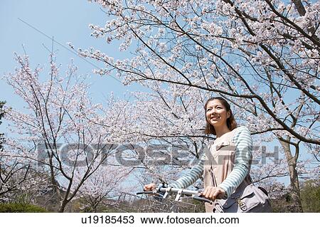 Young woman with bicycle standing near cherry trees View Large Photo Image Stock Image - Young woman with bicycle standing near cherry trees. Fotosearch