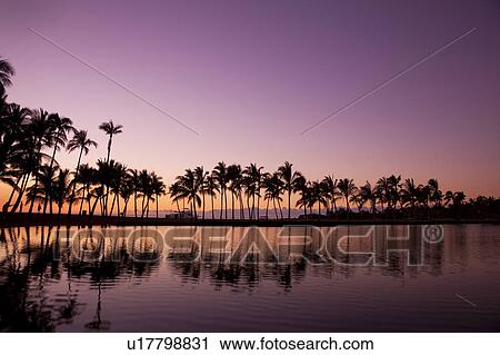 Anaehoomalu Beach at dusk, Hawaii Islands, USA View Large Photo Image Stock Image - Anaehoomalu Beach at dusk, Hawaii Islands, USA. Fotosearch