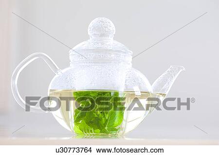 Apple Mint Tea View Large Photo Image Picture - Apple Mint Tea. Fotosearch
