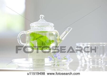 Stock Photo - Apple Mint Tea. Fotosearch