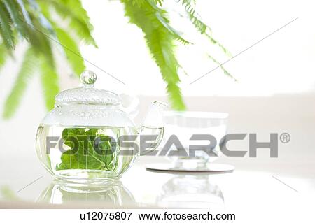 Apple Mint Tea View Large Photo Image Stock Photo - Apple Mint Tea. Fotosearch