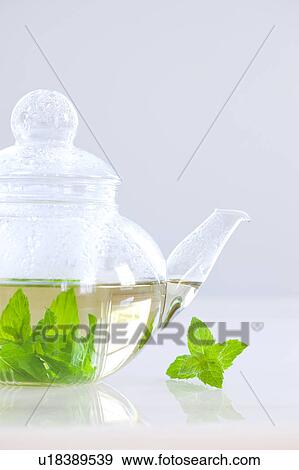 Stock Photo - Apple Mint Tea. Fotosearch