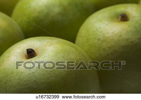 Asian pears View Large Photo Image Stock Photo - Asian pears. Fotosearch