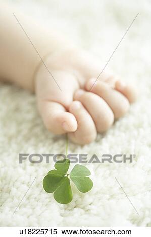 Stock Photography - Baby holding clover leaf. Fotosearch