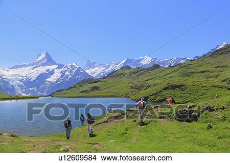 Bachalpsee lake, Grindelwald, Switzerland View Large Photo Image Picture - Bachalpsee lake, Grindelwald, Switzerland. Fotosearch