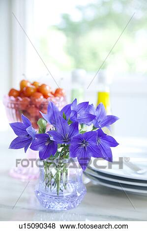 Balloon flowers and cherries on table View Large Photo Image Stock Photo - Balloon flowers and cherries on table. Fotosearch