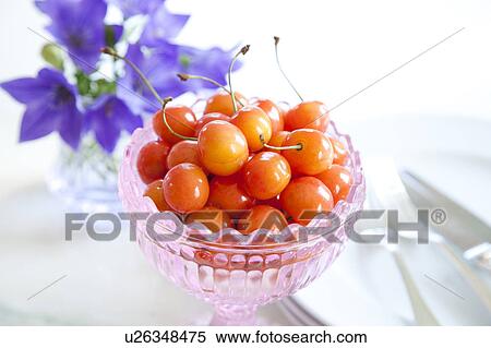 Balloon flowers and cherries on table View Large Photo Image Stock Photography - Balloon flowers and cherries on table. Fotosearch