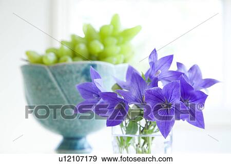 Balloon flowers and white grapes in a bowl View Large Photo Image Stock Photo - Balloon flowers and white grapes in a bowl. Fotosearch
