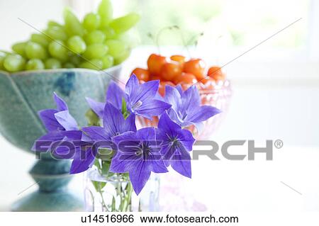 Stock Photograph - Balloon flowers, white grapes and cherries. Fotosearch