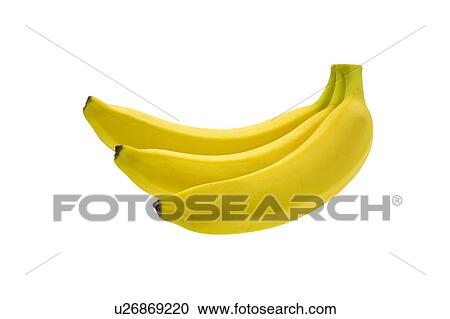 Bananas View Large Photo Image Stock Image - Bananas. Fotosearch