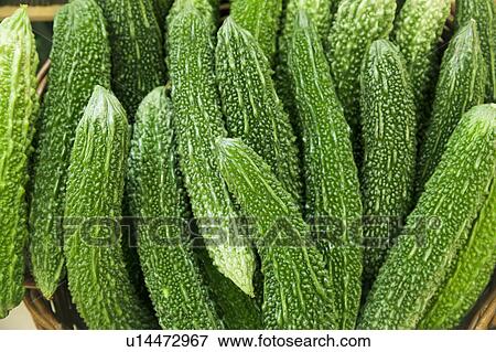 Stock Photo - Bitter melons. Fotosearch