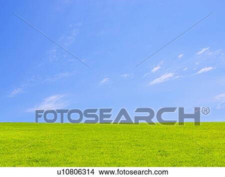 Blue Sky Over Green Field View Large Photo Image Picture - Blue Sky Over Green Field. Fotosearch