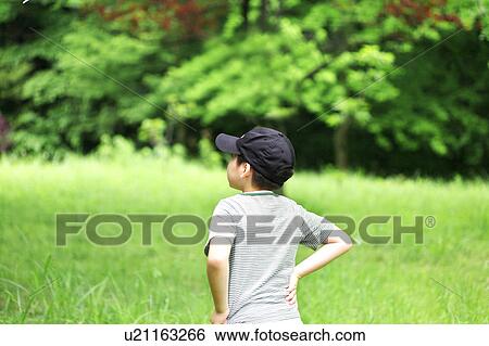 Boy standing and looking at a forest, Tokyo Prefecture, Honshu, Japan View Large Photo Image Stock Photograph - Boy standing and looking at a forest, Tokyo Prefecture, Honshu, Japan. Fotosearch