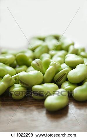 Broad Beans View Large Photo Image Stock Photo - Broad Beans. Fotosearch