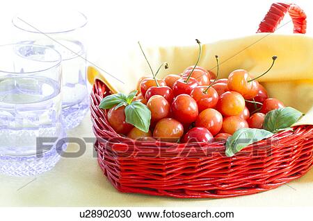 Cherries in a basket and glasses of water View Large Photo Image Stock Image - Cherries in a basket and glasses of water. Fotosearch