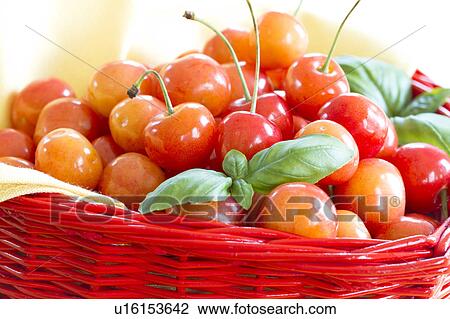 Stock Image - Cherries in a basket. Fotosearch
