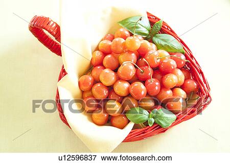 Stock Photo - Cherries in a basket. Fotosearch