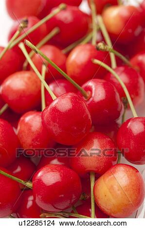 Cherries View Large Photo Image Picture - Cherries. Fotosearch