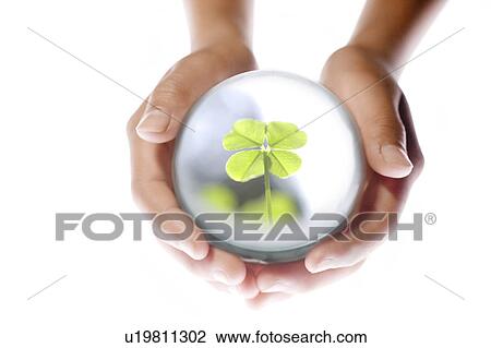 Stock Image - Child Holding Globe Showing Four Leaf Clover. Fotosearch