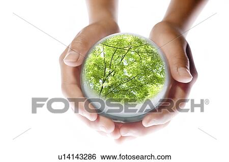 Stock Photograph - Child Holding Globe Showing Trees. Fotosearch