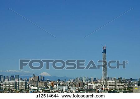 Picture - Cityscape and Tokyo sky tree, Tokyo Prefecture, Honshu, Japan. Fotosearch