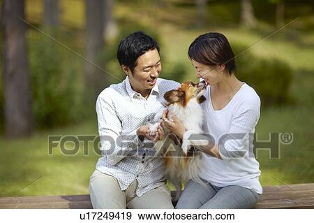 Couple and Papillon Dog View Large Photo Image Stock Photo - Couple and Papillon Dog. Fotosearch