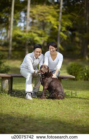 Stock Image - Couple with Chocolate Labrador in Park. Fotosearch