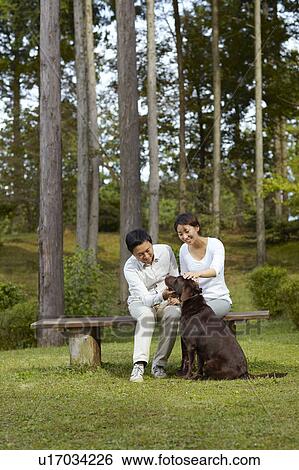 Stock Photograph - Couple with Chocolate Labrador in Park. Fotosearch