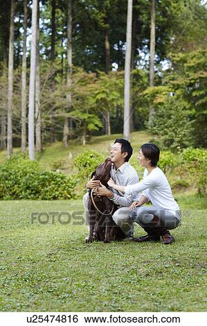 Couple with Chocolate Labrador View Large Photo Image Stock Photograph - Couple with Chocolate Labrador. Fotosearch