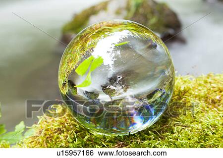 Crystal ball on moss, Aomori Prefecture, Honshu, Japan View Large Photo Image Stock Photograph - Crystal ball on moss, Aomori Prefecture, Honshu, Japan. Fotosearch