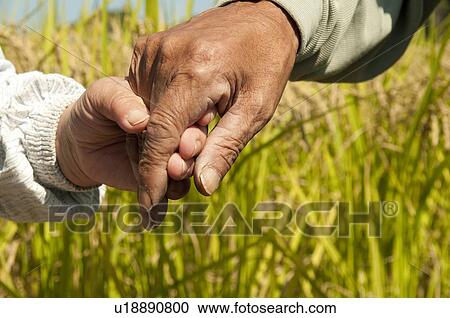 Stock Image - Farmer Couple Holding Hands, Focus On Hands. Fotosearch