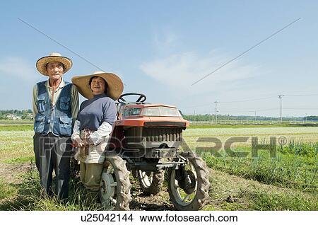 Farmer Couple in Rice Field View Large Photo Image Picture - Farmer Couple in Rice Field. Fotosearch