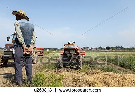 Stock Image - Farmer Standing in Field. Fotosearch