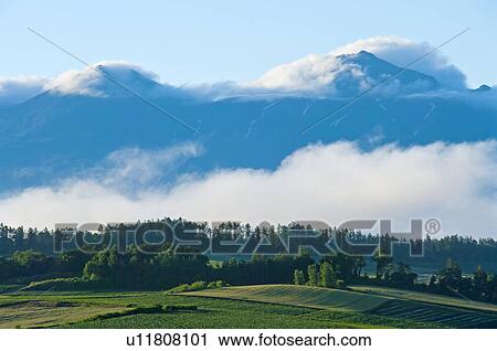 Field and Tokachi Mountain Range at dawn, Hokkaido Prefecture, Japan View Large Photo Image Stock Image - Field and Tokachi Mountain Range at dawn, Hokkaido Prefecture, Japan. Fotosearch