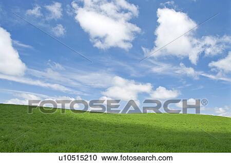 Stock Image - Field, Hokkaido Prefecture, Japan. Fotosearch