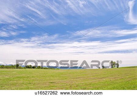 Stock Image - Field, Hokkaido Prefecture, Japan. Fotosearch