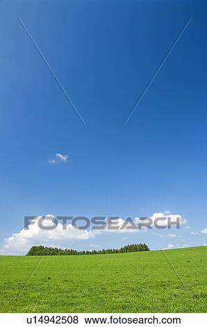 Field, Hokkaido Prefecture, Japan View Large Photo Image Stock Photo - Field, Hokkaido Prefecture, Japan. Fotosearch