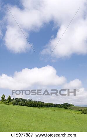 Stock Photo - Field, Hokkaido Prefecture, Japan. Fotosearch