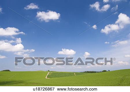 Field, Hokkaido Prefecture, Japan View Large Photo Image Stock Photo - Field, Hokkaido Prefecture, Japan. Fotosearch