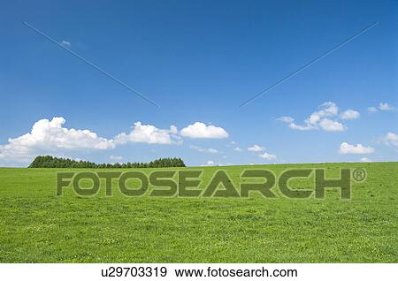 Stock Photo - Field, Hokkaido Prefecture, Japan. Fotosearch