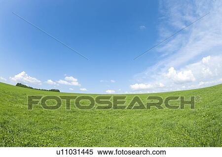 Stock Photography - Field, Hokkaido Prefecture, Japan. Fotosearch