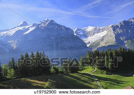 Stock Image - First, Grindelwald, Switzerland. Fotosearch