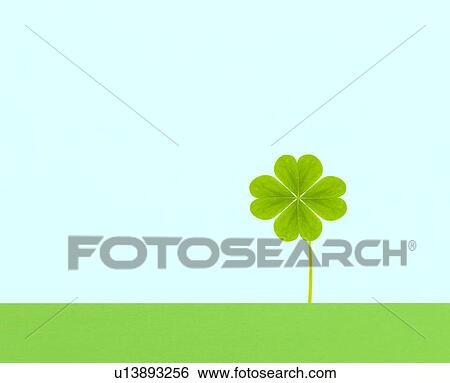 Stock Photograph - Four-leaf clover. Fotosearch